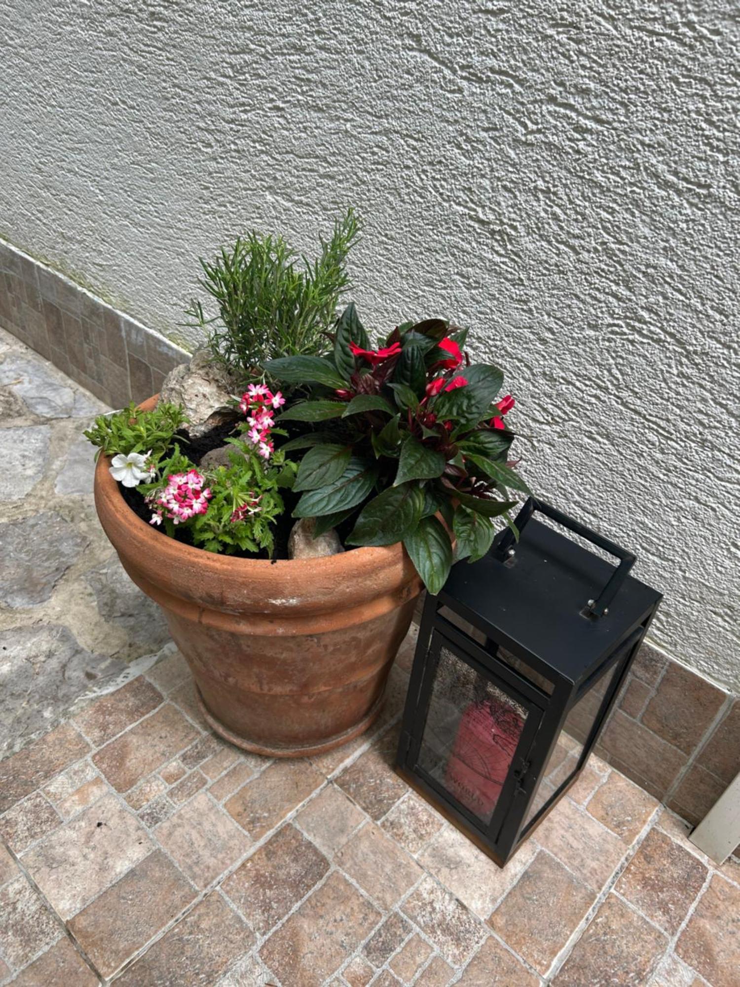 Apartment Bozena Krk Krk Town Zewnętrze zdjęcie